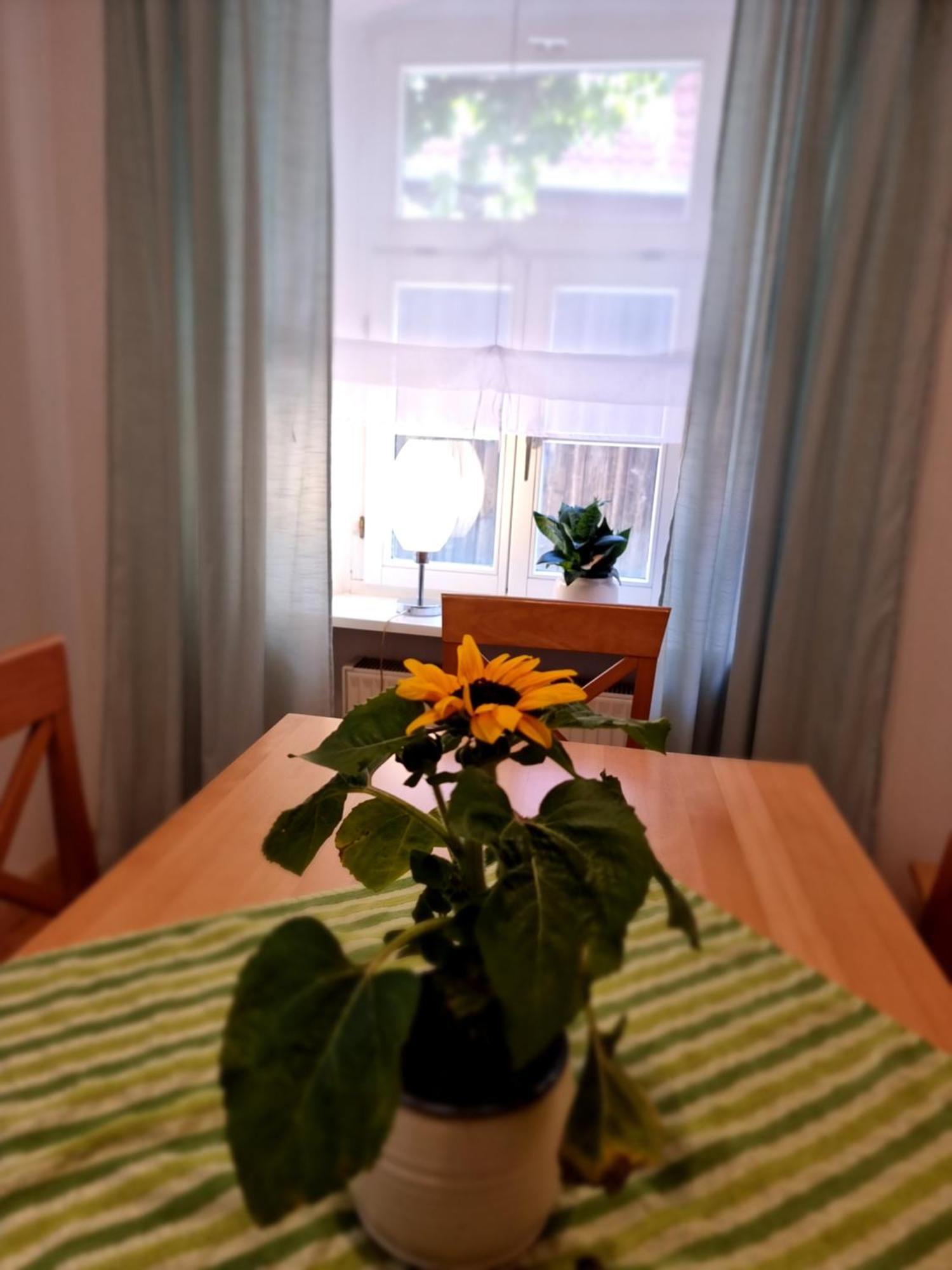 Ferienwohnung Boehm Segnitz Quarto foto
